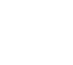 DSB lad
